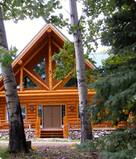 Log cabin nestled in the woods